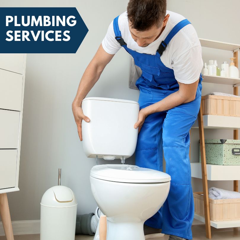 Plumbing Company in Westerlo, NY